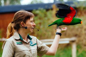 Puffing Billy Train Day Trip with Healesville Sanctuary Meet and Greet from Melbourne