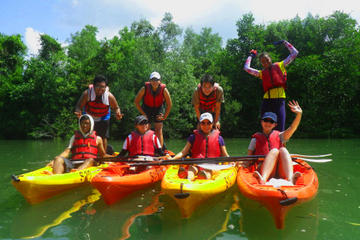 Pulau Ubin Mangrove Kayak Adventure from Singapore
