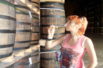 Punta Cana Rum and Food Tasting Tour