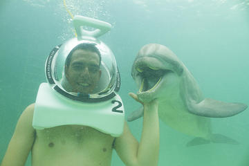 Punta Cana Underwater Dolphin Swim