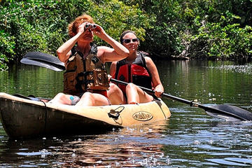 Punta Izopo Wildlife Refuge from Tela