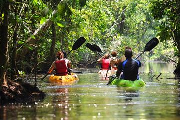 Punta Izopo Wildlife Refuge In Ranger 4x4 from Tela