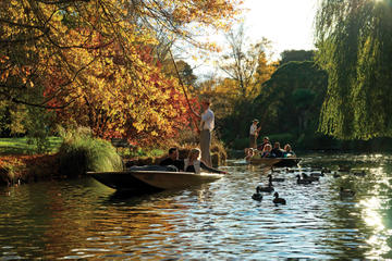Punting on the Avon River with Optional Christchurch Gondola and Botanic Gardens Tour