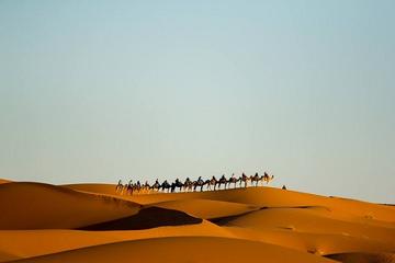 Quiet Merzouga Camel Treks in the Moroccan desert departing from Merzouga