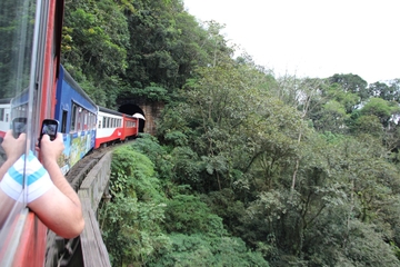 Rail Tour from Curitiba to Morrete