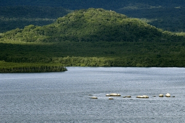 Rail Tour to Morretes and Boat Tour in Antonina from Curitiba