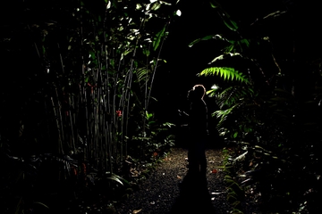 Rainforest Night Hike and Dinner from La Fortuna