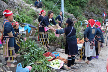 Red Dao Village Hiking Day Tour from Sapa