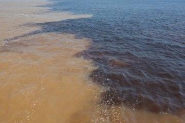 Rio Negro Cruise from Manaus to the Amazon River