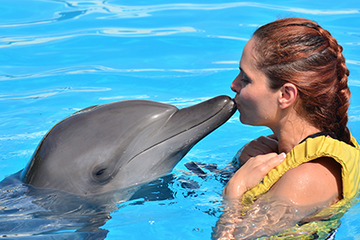 Riviera Maya Dolphin Trainer for a Day Program