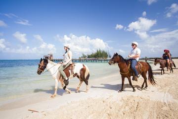 Roatan Combo Tour: Jungle Horseback Riding and Beach Break Roatan Combo Tour: Jungle Horseback Riding and Beach Break