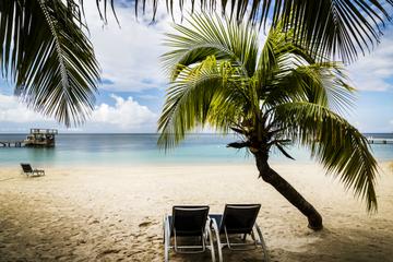 Roatan Shore Excursion: Private Tour to Butterfly Garden, Animal Sanctuary and Private Beach