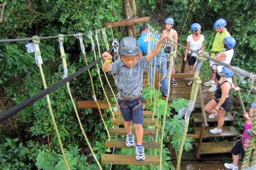 Roatan Zip Dip, Beaches and Monkey Park