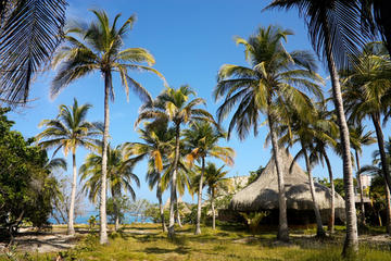 Rosario Islands Day Trip from Cartagena