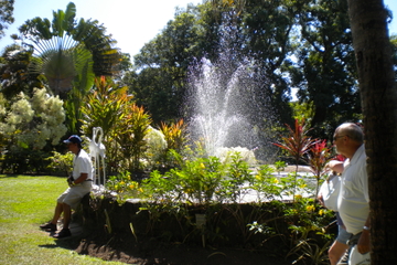 Rosevelt Special Tour of Basseterre