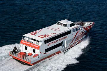 Rottnest Island Round-Trip Ferry from Perth or Fremantle