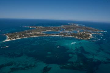 Rottnest Island Tour from Perth or Fremantle including Wildlife Cruise