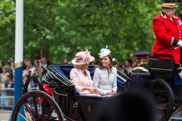Royal London Walking Tour Including Kensington Palace Visit and Princess Diana Memorial