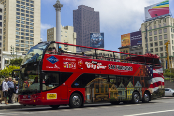 San Francisco Shore Excursion: Hop-On Hop-Off Tour