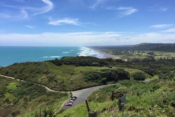 Scenic Vineyard Odyssey from Auckland