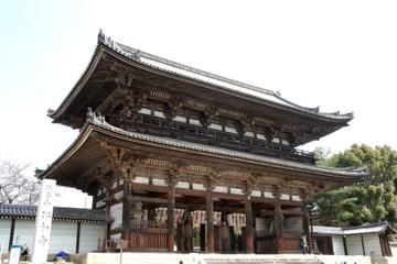Scholar-led Small-Group Kyoto Walking Tour: Japanese Gardens and Landscape