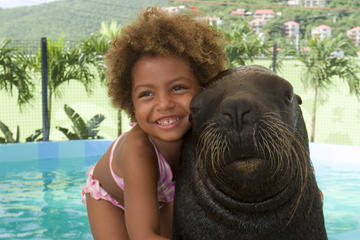 Sea Lion Encounter at Coral World Ocean Park
