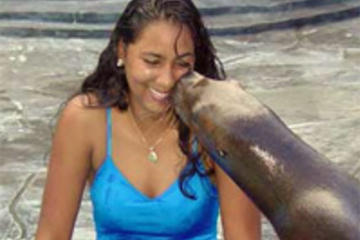 Sea Lion Encounter at Ocean World