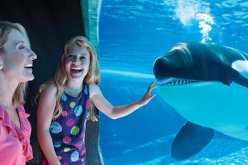 SeaWorld® Orlando Ticket