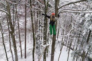 Seilpark Interlaken Winter Adventure