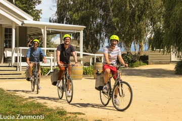 Self Guided Martinborough Wineries Bike Tour
