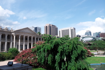 Seoul Morning Walking Tour: Deoksugung Palace, Jeongdong-gil and the Seoul Museum of History