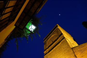 Seville 2-Hour Late Evening Walking Tour
