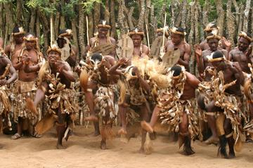 Shakaland Zulu Experience Day Tour from Durban