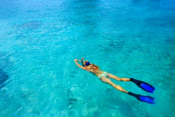 Shallow Reef Snorkel Tour in Grand Turk