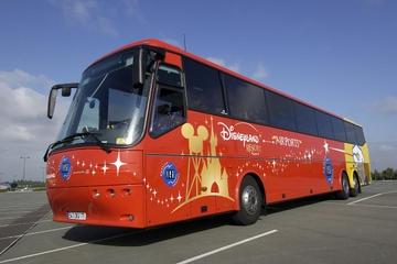 Shared Arrival Transfer: Paris Airports to Disneyland Paris Hotels