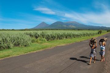 Shared Tour from San Salvador to The Mayan Sites including The National Park Cerro Verde in Santa Ana