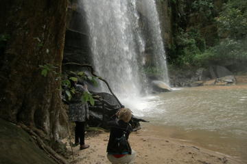 Shimba Hills Day Safari