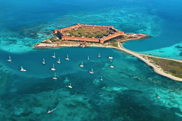 Shipwreck Snorkel and Wild Dolphin Encounter