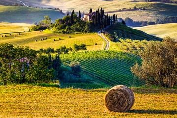 Siena, Montalcino and Val d'Orcia Wine Roads Day-Trip from Florence