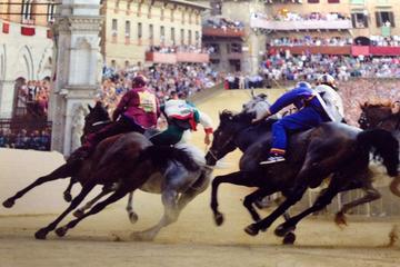 Siena Palio Horse Race Day Trip from Florence