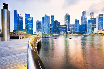 Singapore Arrival Transfer: Airport to Cruise or Ferry Port
