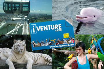 Singapore Flexi Attractions Pass: Singapore Zoo, Night Safari and Flyer