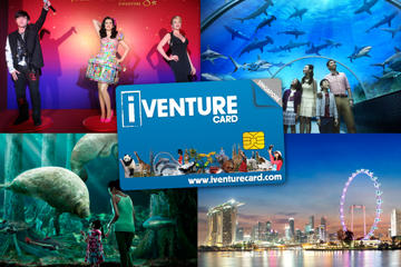 Singapore Flexi Attractions Pass with Optional Universal Studios Singapore Admission