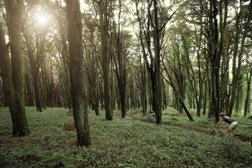 Sintra Private Cycling Tour