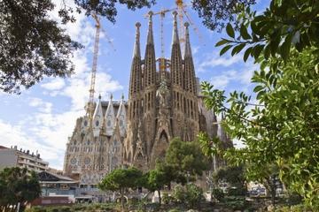 Fast Track Sagrada Familia Guided Tour