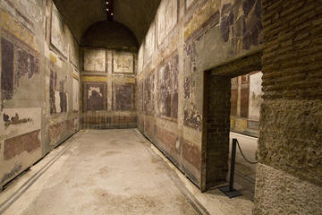 Skip the Line: Casa di Augusto, Casa di Livia and Colosseum Tour in Rome
