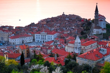 Slovenian Coast Day Trip from Ljubljana