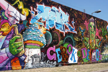 Small-Group Buenos Aires Graffiti Art Tour