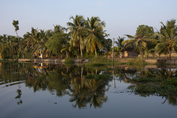 Small-Group Cultural Tour of Kerala Backwaters in Kochi
