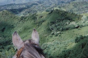 Small-Group Horseback-Riding Tour for Experienced Riders